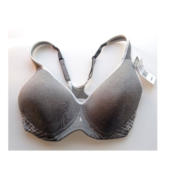 Danskin Other - NWT Danskin 34DDD/1X Heather Grey Sports Bra